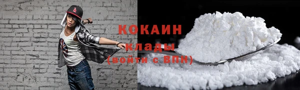 молекула духа Костерёво