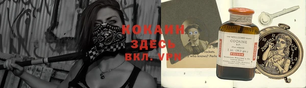 молекула духа Костерёво
