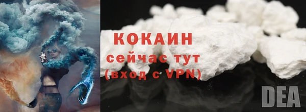 молекула духа Костерёво