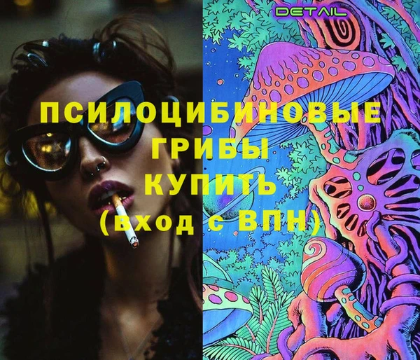 молекула духа Костерёво