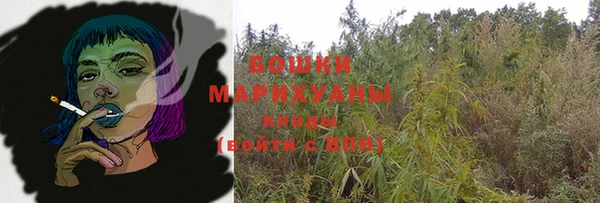 молекула духа Костерёво