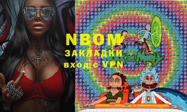 твердый Коряжма