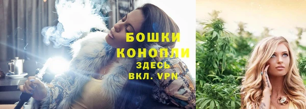 молекула духа Костерёво